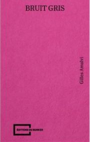 Gilles Amalvi - Bruit gris