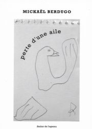 Mickaël Berdugo – Perte d’une aile