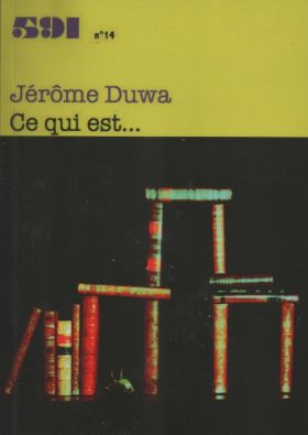 591 n°14 Ce qui est… de Jérôme Duwa