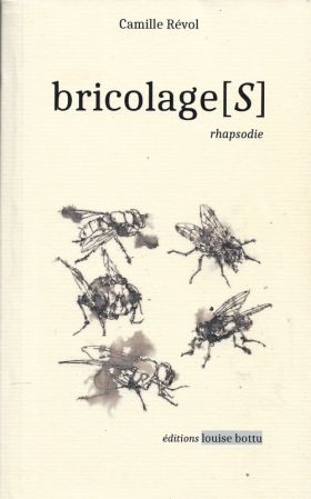 bricolage[s], Camille Révol et quelques autres