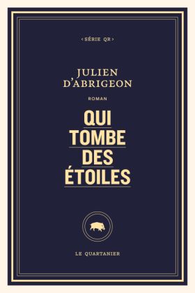 Julien D'Abrigeon-Qui tombe des étoiles