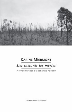 Karine Miermont - Les instants les merles