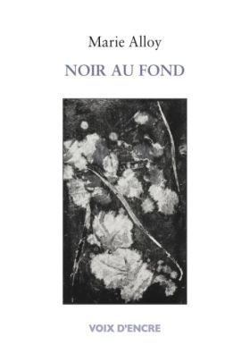 Marie Alloy - Noir au fond