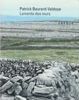 Patrick Beurard-Valdoye, Lamenta des murs
