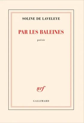 Soline de Laveleye, Par les baleines