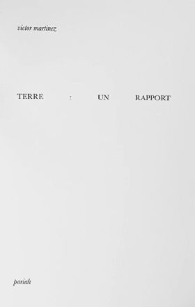 Terre : un rapport, de Victor Martinez